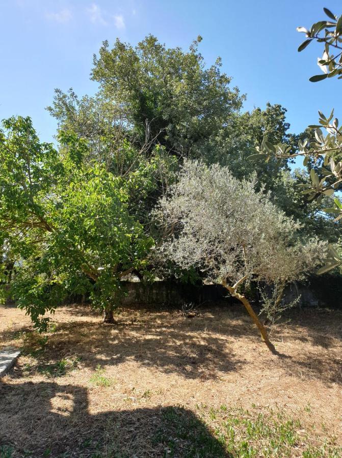 Vila Pasiphae Armenoi  Luaran gambar